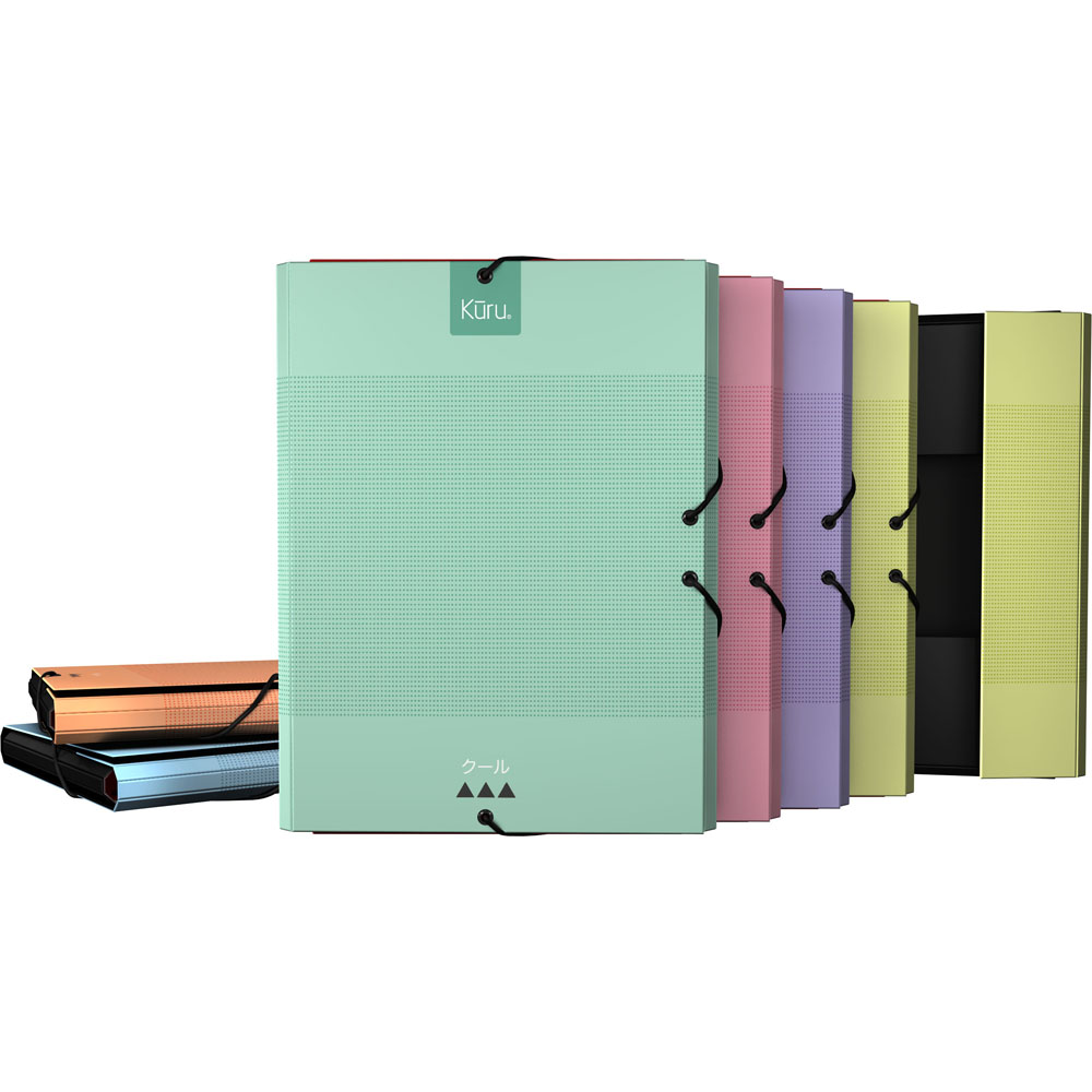 PASTA 3 ABAS FOR. KURU2 SORTIDO 