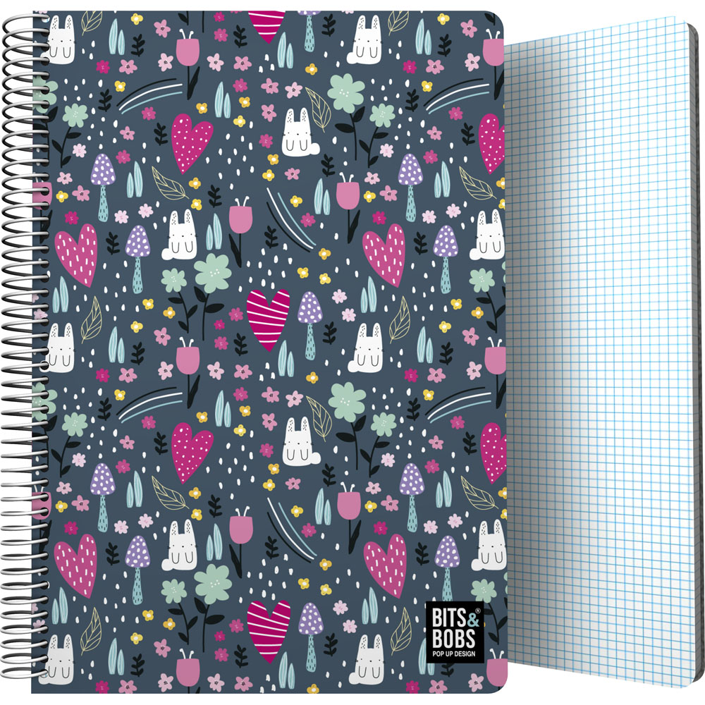 CADER.PP Fo 80H 90G C4MM B&B PARK