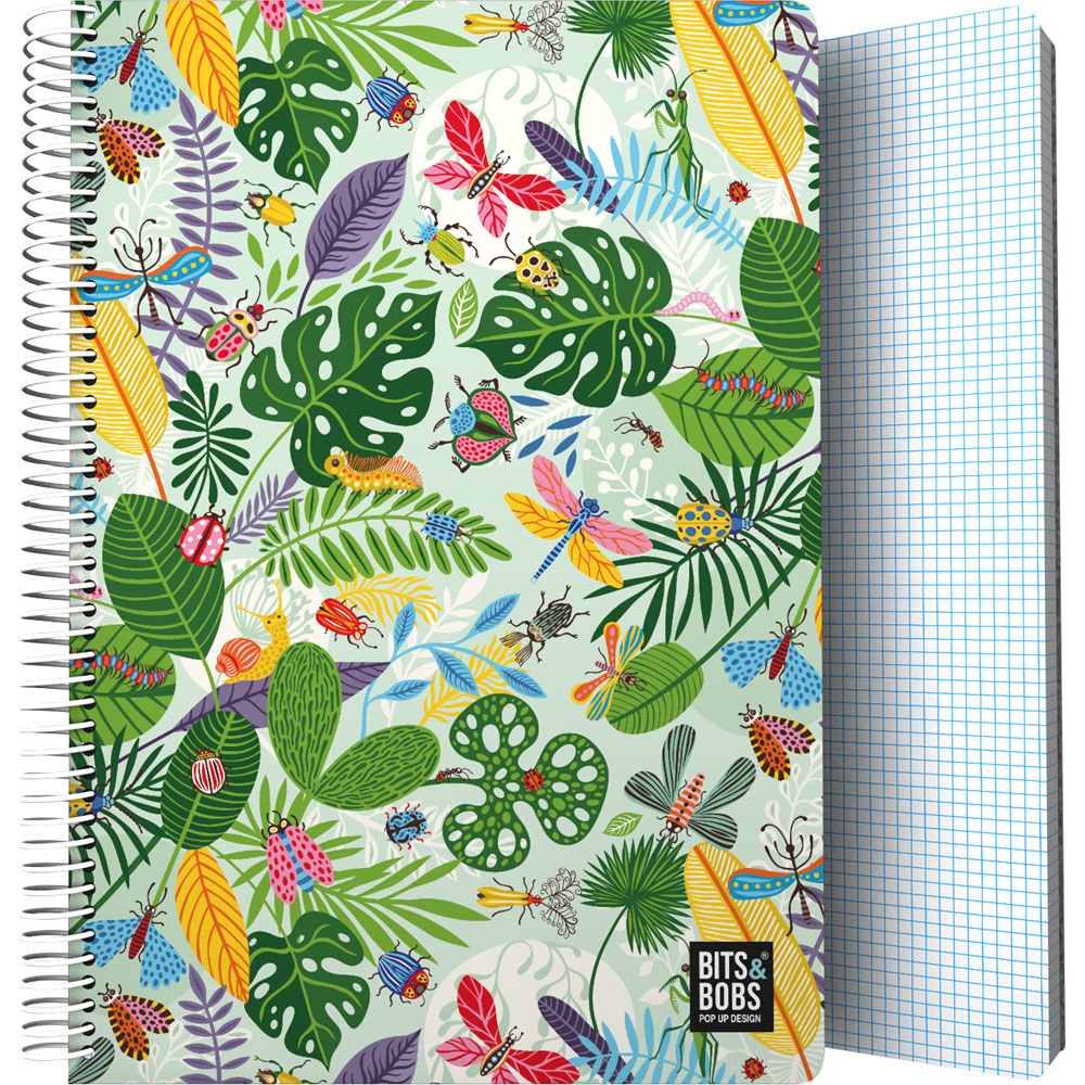 CADER.PP FOLE 80H 90G C4MM B&B23 BUGS