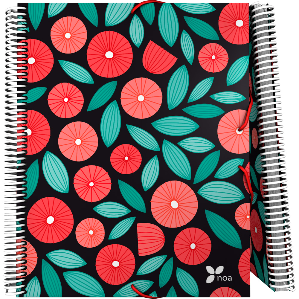 PASTA 30F.MAXIPLASPP NOA19 GLOBE