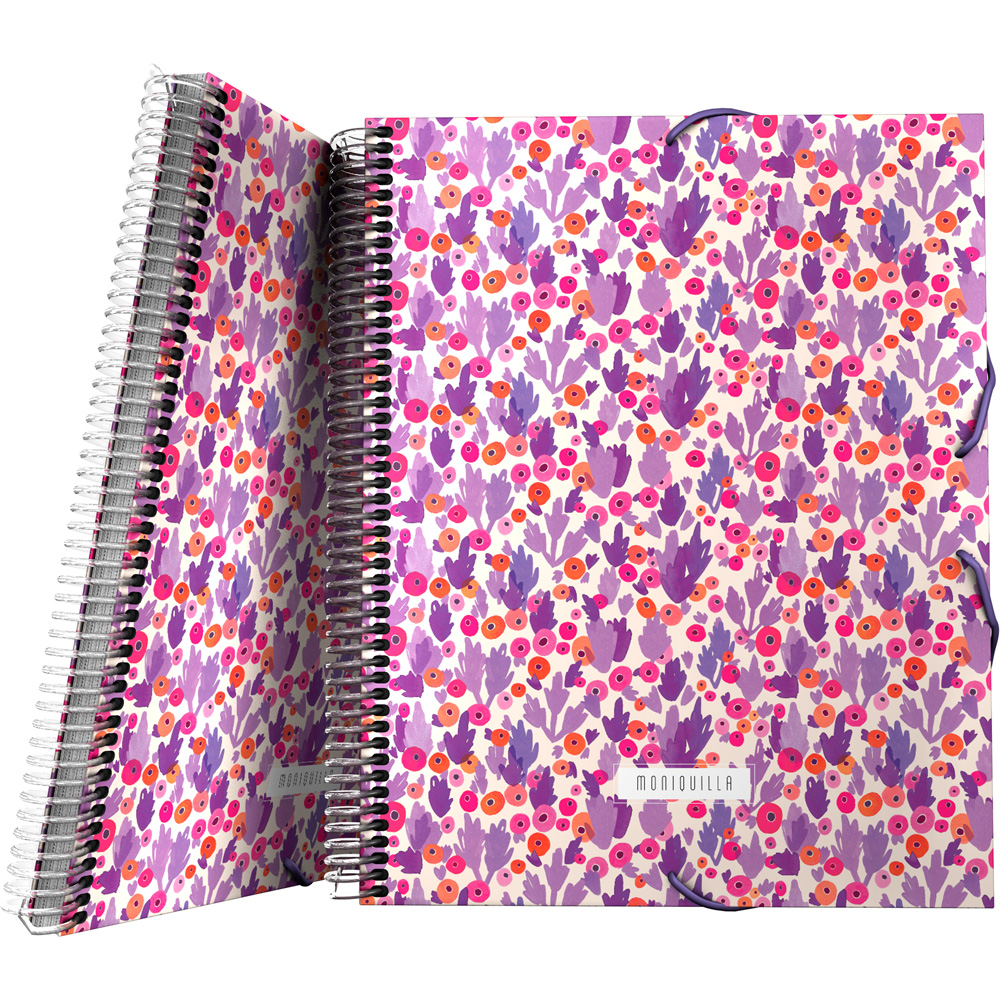 PASTA 30F.MAXIPLASPP MONIQUILLA19 CACT