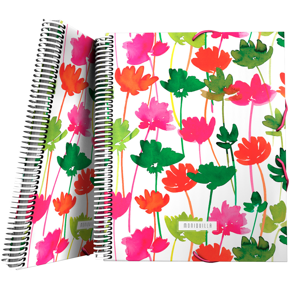 PASTA 30F.MAXIPLASPP MONIQUILLA19 FLOR