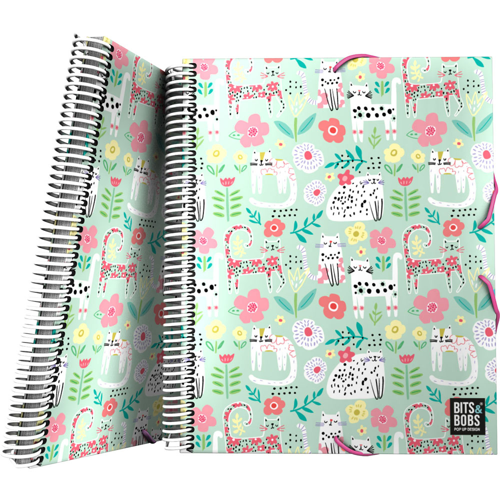 PASTA 30F MAXIPLASPP B&B24 CATS