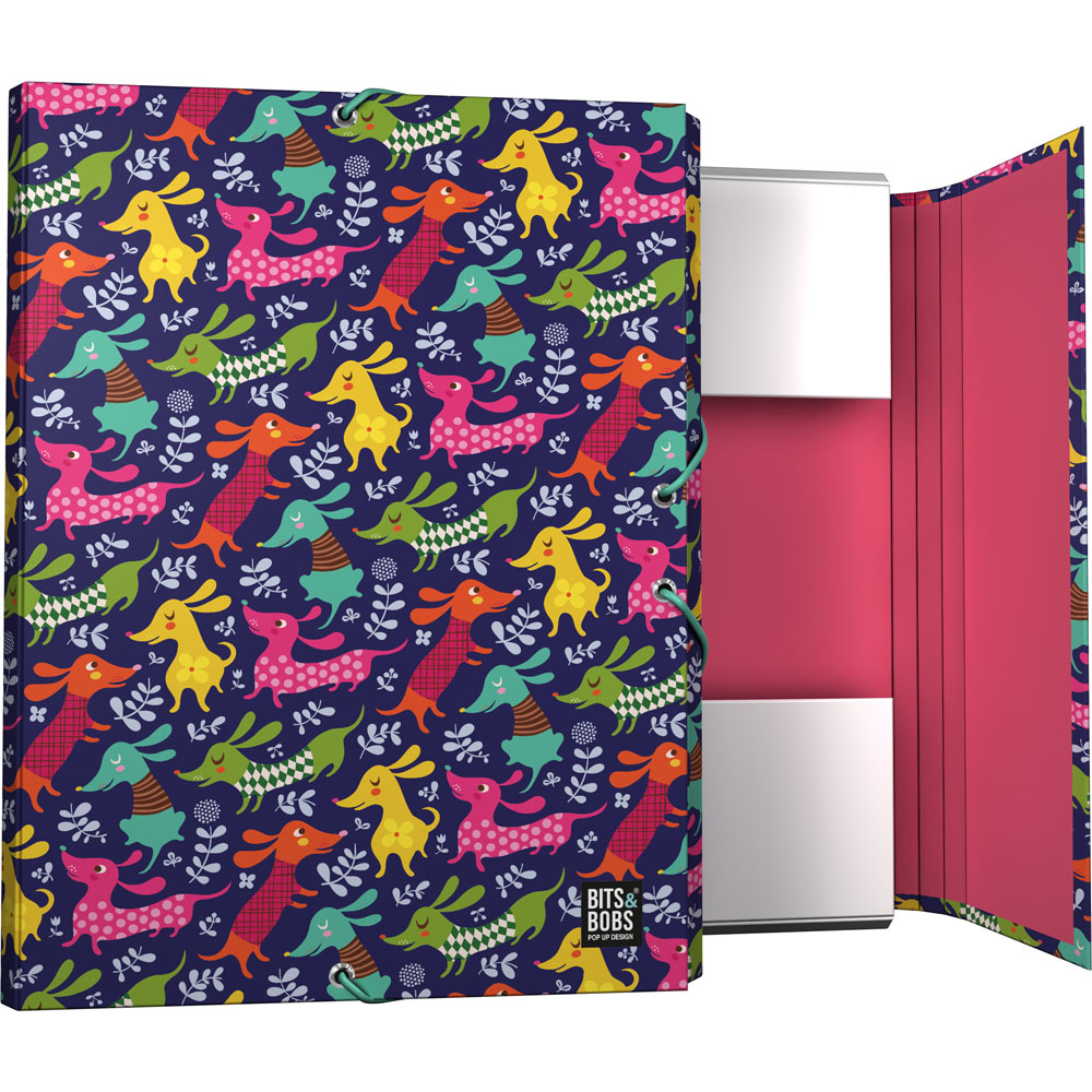 PASTA 3 ABAS FOR. B&B23 DOGS