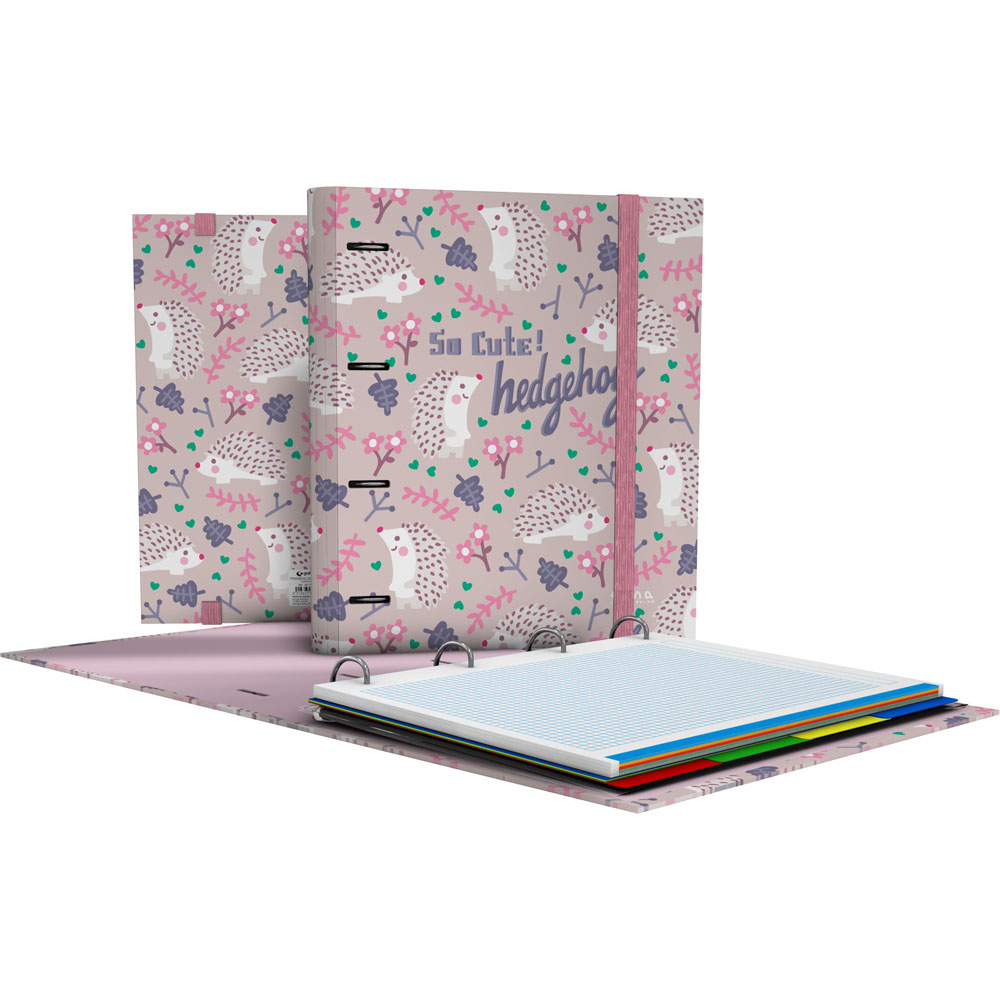 CARPEBOOK 4D35 A4 EC 21 HEDGEHOG