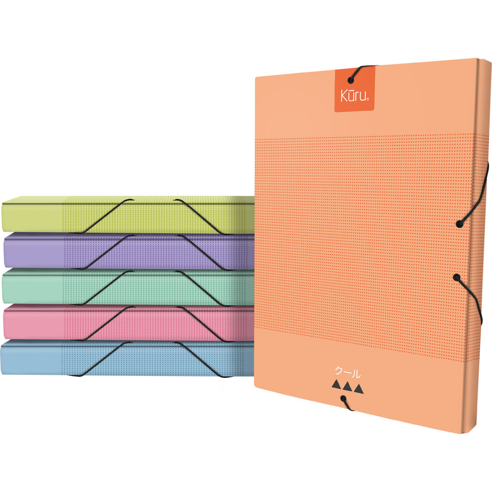 CAIXA ECOPROJ..GOM.3CM KURU2 SORTIDO