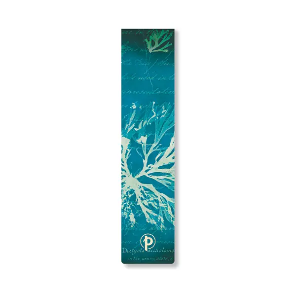Anna Atkins’ Cyanotypes - Sea Flowers