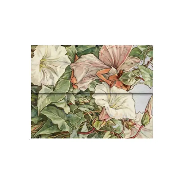 Flower Fairies - Bindweed Fairy