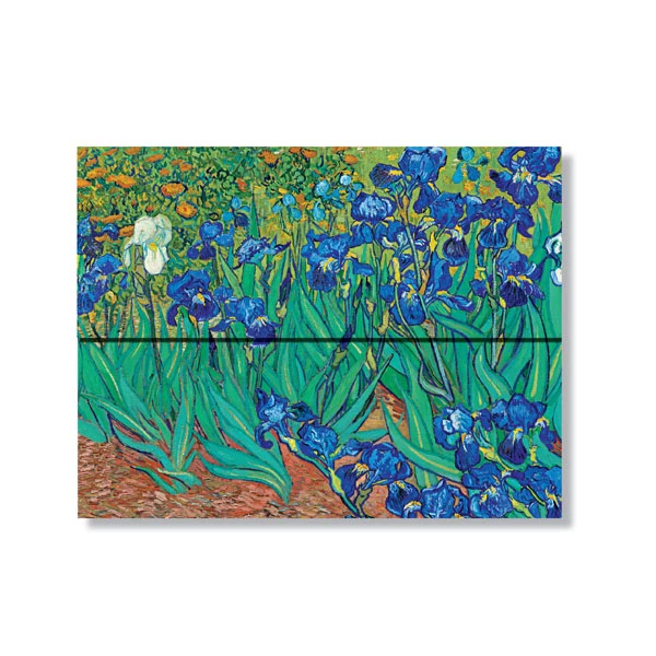 Van Gogh’s Irises - Van Gogh’s Irises