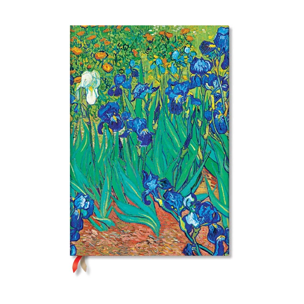 Van Gogh’s Irises - Van Gogh’s Irises
