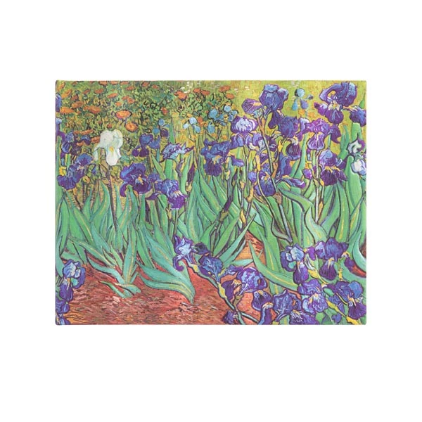 Van Gogh’s Irises - Van Gogh’s Irises