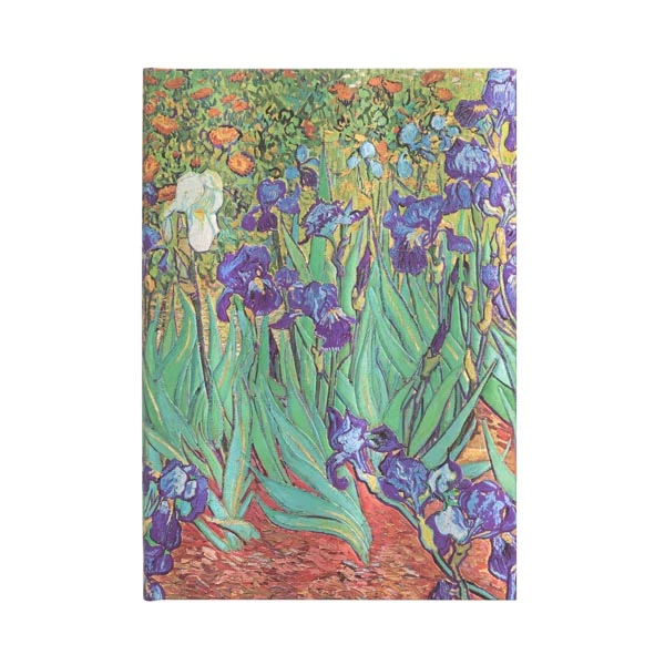 Van Gogh’s Irises - Van Gogh’s Irises