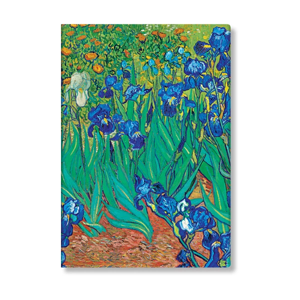 Van Gogh’s Irises - Van Gogh’s Irises
