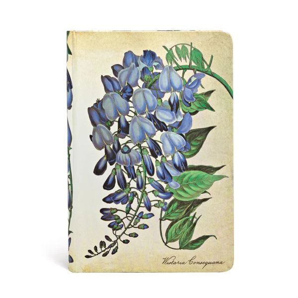 Painted Botanicals - Blooming Wisteria