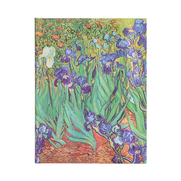 Van Gogh’s Irises - Van Gogh’s Irises