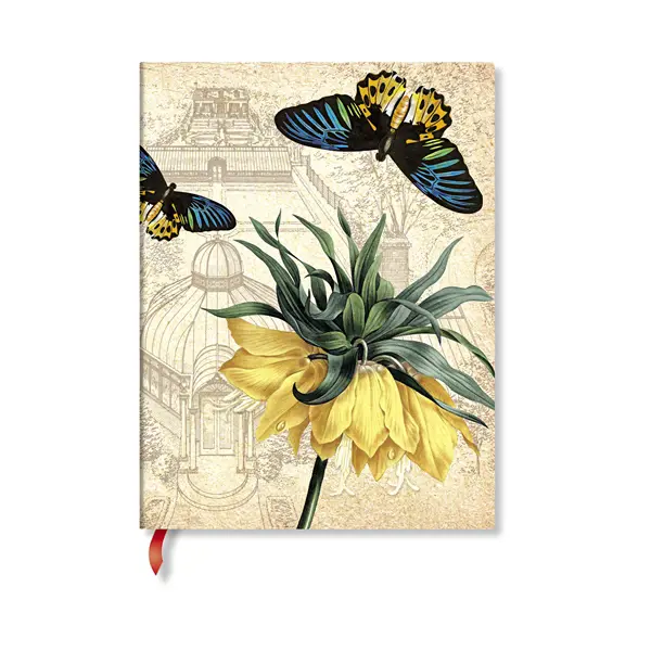 Ultra, Golden Fritillaria