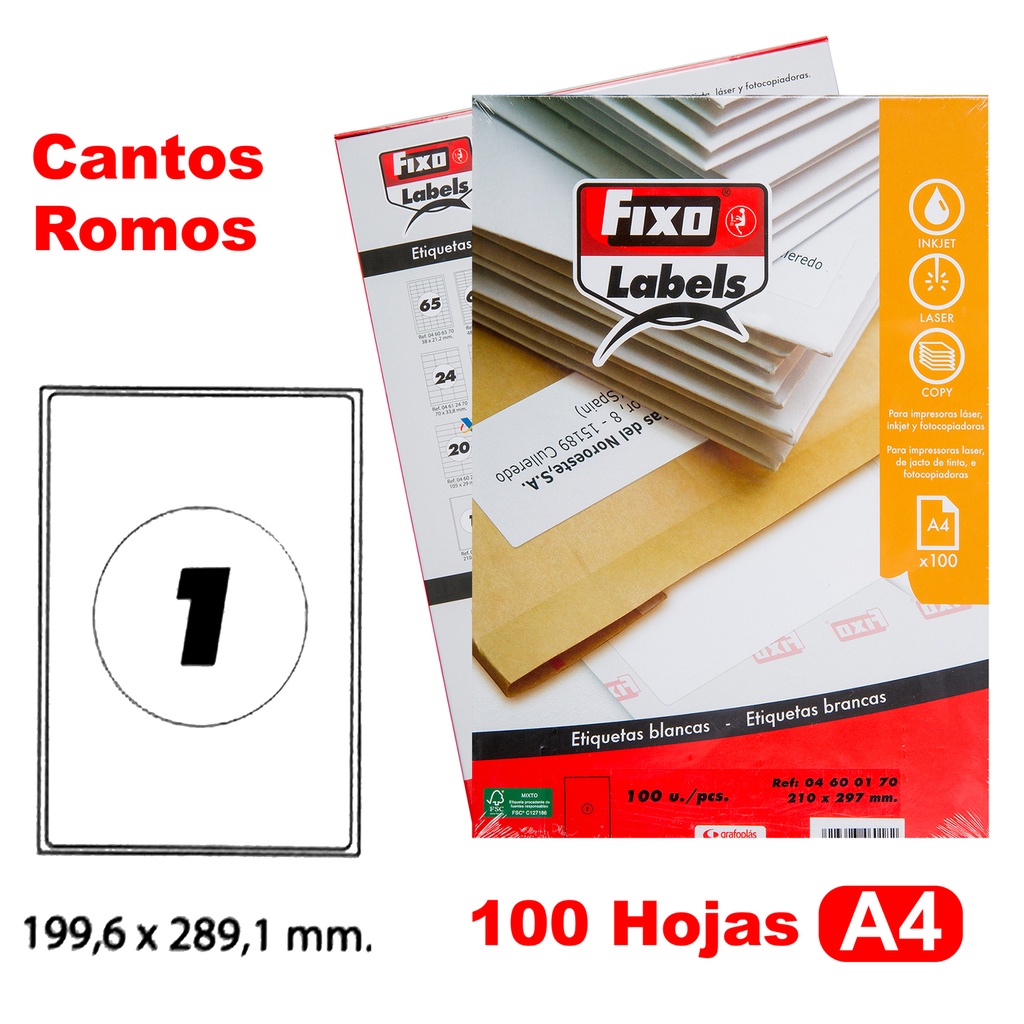 CAIXA 100H.A4 ETIQUE.C/ROMO 199.6X289.1MM