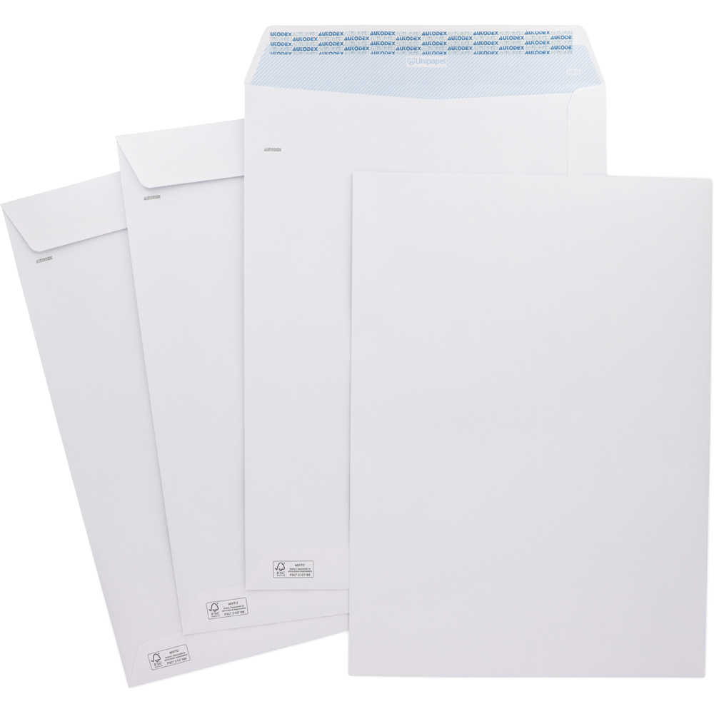 250 ENV. BCA 100G 229X324 T.SILIC V/D