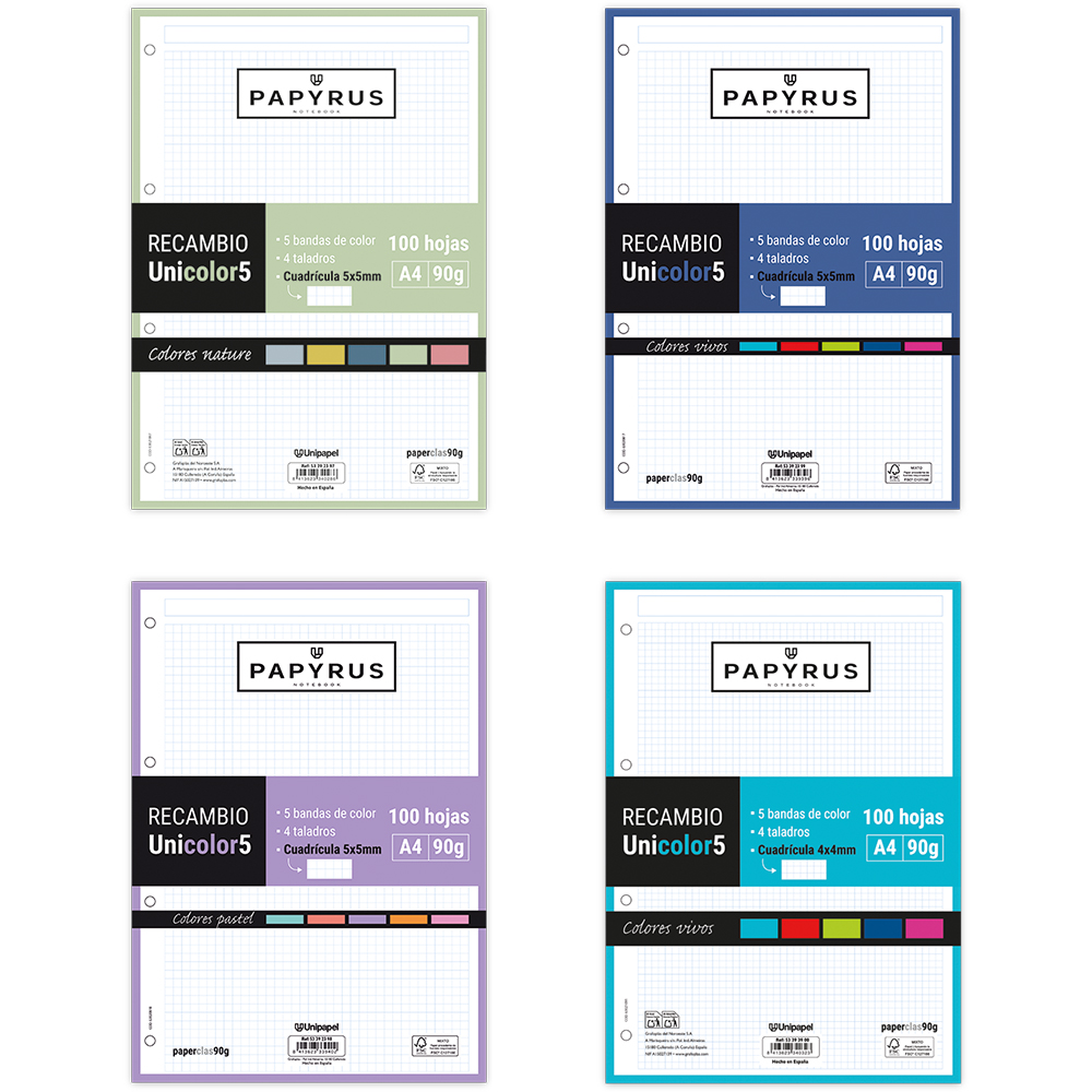 RECARGA PAPYRUS A4 UNI5 100H/90G 4X4 VIVO