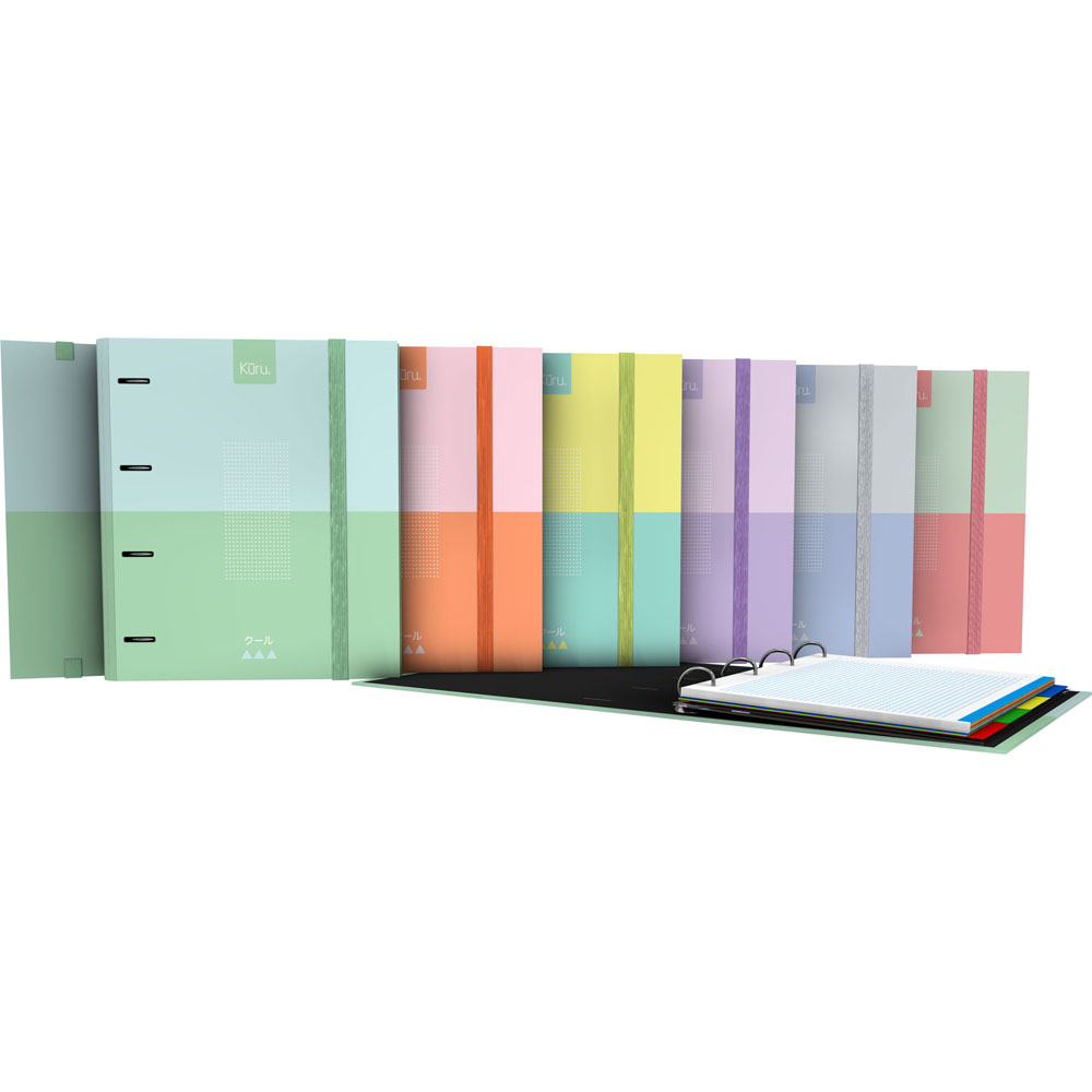 CARPEBOOK FORR 4D35 A4 KURU3 SURTIDO