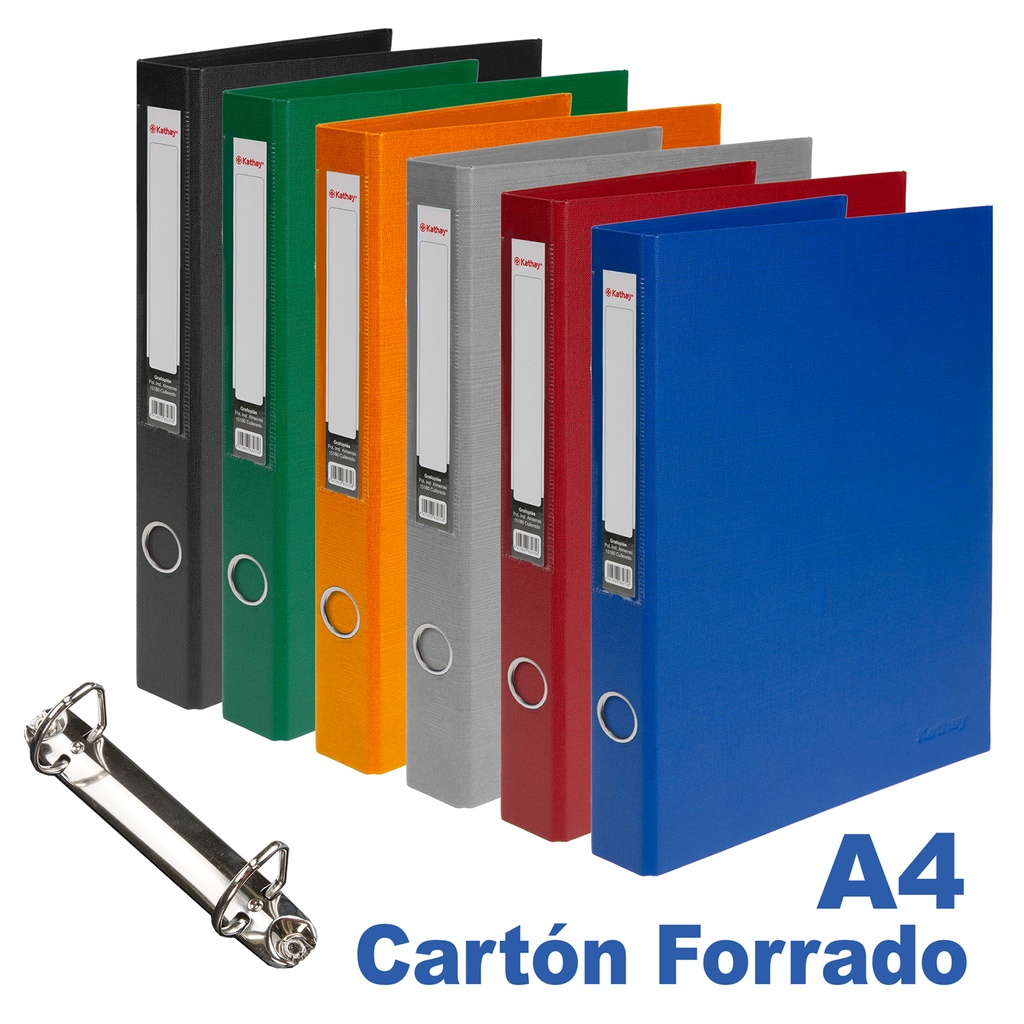 CARPETA 2ANILLAS 25MM POKF SURTID KATHAY