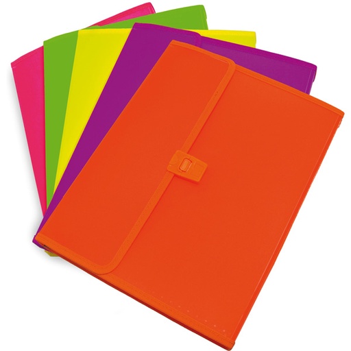 [GRA02961799] ARCH.FUELLE PP FLUO C/BROCHE12 SEP.SURT.