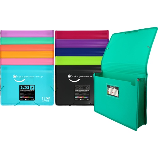 [GRA04800299] PASTA C/ ELAST. FUELLE PP LIKE2 SORTIDO