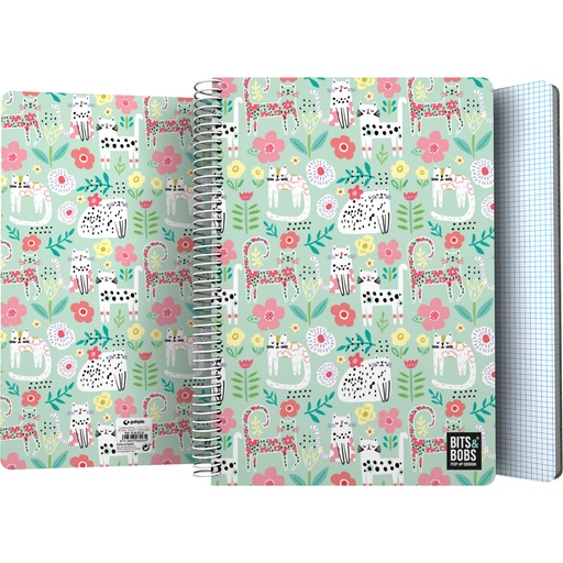 [GRA16502202] CADER.PP Fo 80H 90G C4MM B&B24 CATS