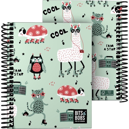 [GRA16522742] CADER.FOR A6 C5MM B&B PARTY