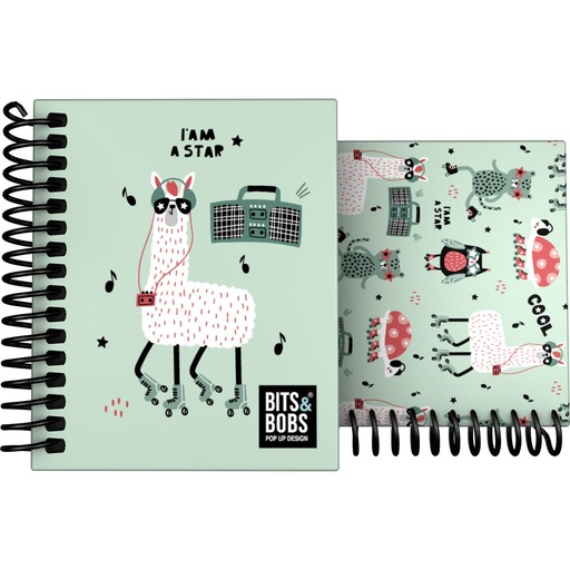 [GRA16532742] CADER.FOR A7 C5MM B&B PARTY