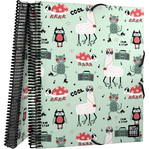 [GRA39802242] MAXIPLAS PP 30F B&B PARTY