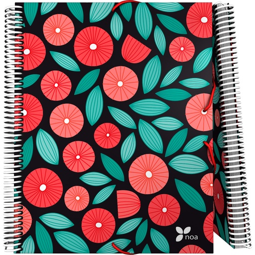 [GRA39822161] PASTA 30F.MAXIPLASPP NOA19 GLOBE