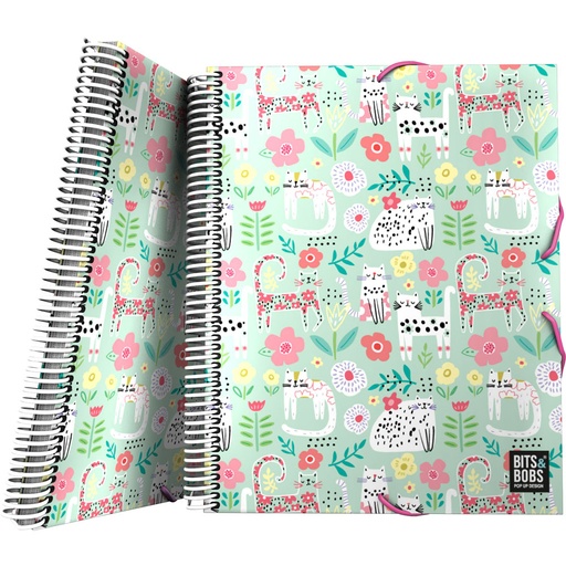 [GRA39822202] PASTA 30F MAXIPLASPP B&B24 CATS