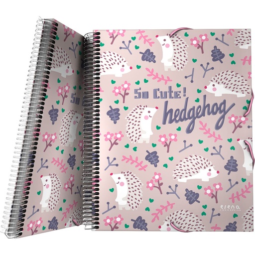 [GRA39822436] PASTA 30F MAXIPLASPP EC 21 HEDGEHOG