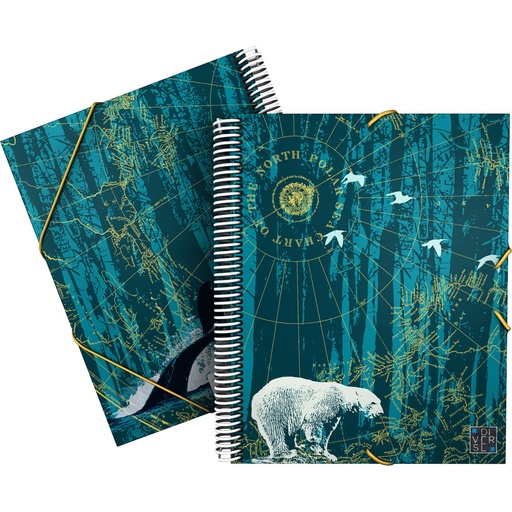 [GRA39822450] PASTA 30F MAXIPLASPP DIVERSE22 NORTH