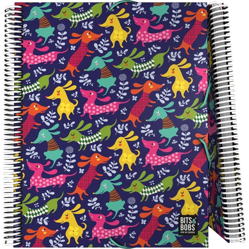 [GRA39822464] PASTA 30F MAXIPLASPP B&B23 DOGS