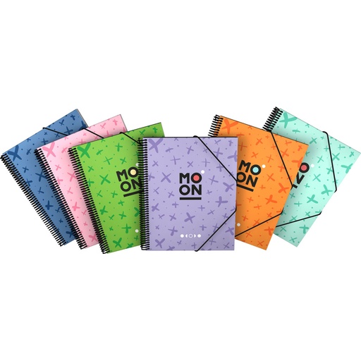 [GRA39873599] PASTA 30F MAXIPLASFOR. MOON SORTIDO