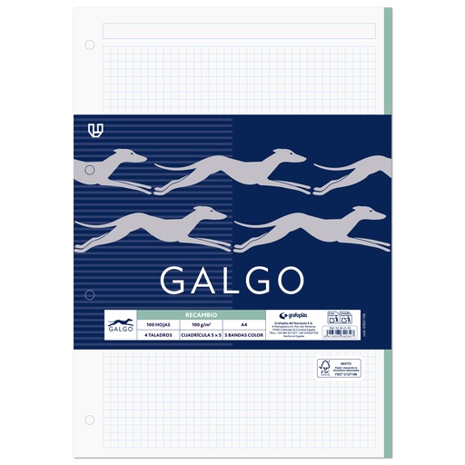 [GRA53394100] RECARGA GALGO A4 100G 100H C5MM 5BAND