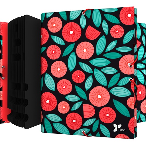 [GRA82211961] CLASIF.FORR.SOLAP. NOA19 GLOBE