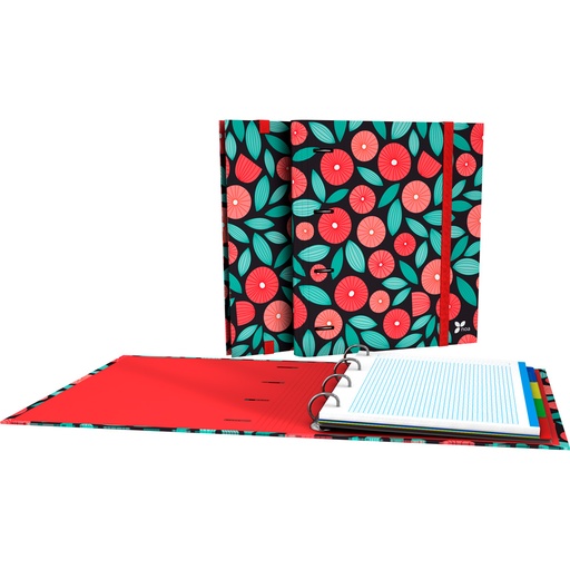 [GRA88101961] CARPEBOOK 4D35 A4 NOA19 GLOBE