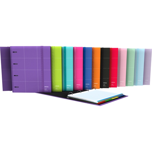 [GRA88102935] CARPEBOOK 4D35 A4 C/REC+SEP+SOB UNEQ MOR