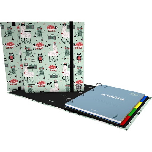 [GRA88122742] CARPEBOOK 4D35 A4 B&B PARTY
