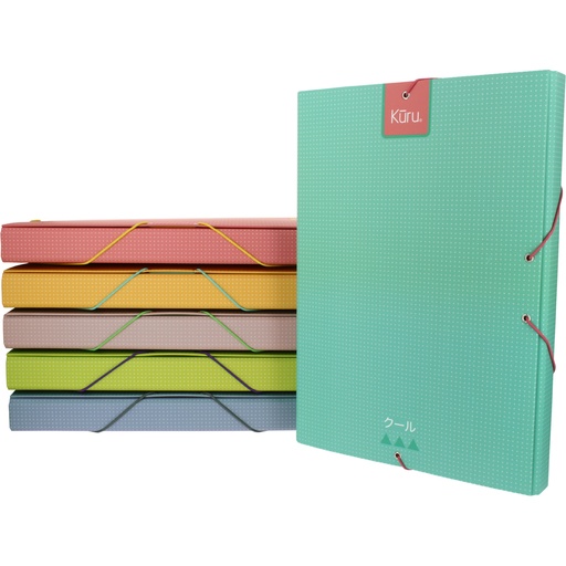 [GRA91274699] CAIXA ECOPROJ. GOM.5CM KURU SORTIDO