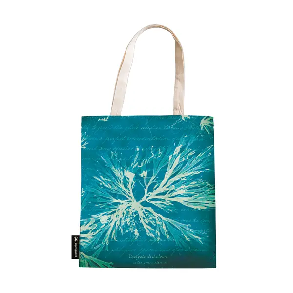 [PA1394-6] Anna Atkins’ Cyanotypes - Sea Flowers