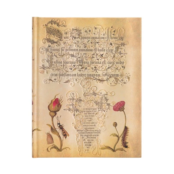 [PB8124-1] Mira Botanica - Flemish Rose