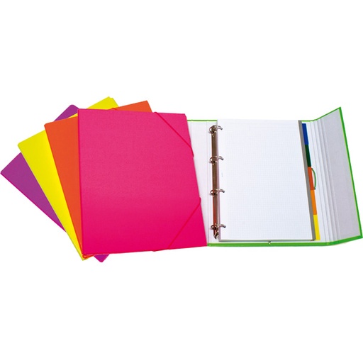 [GRA88212199] CARPEPLUS 4D25 C/SOL C/SEP FLUOR SURTIDO