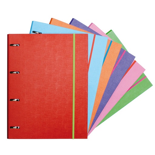 [GRA88191623] CAR.ANIL.A4 FOR.4D25C/REC PP COLORS VER