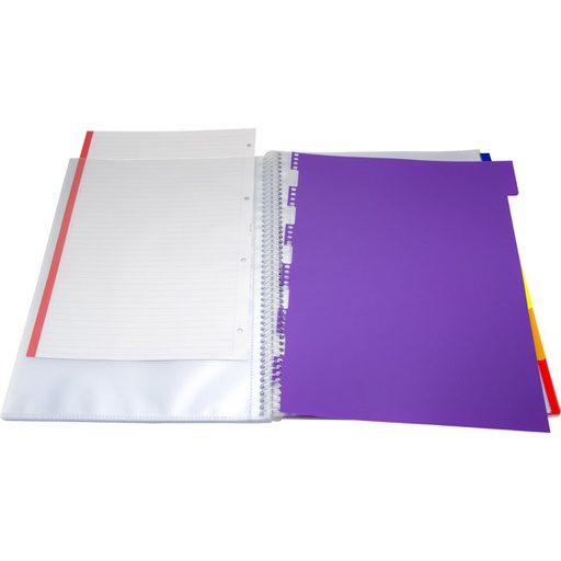 [GRA39834100] PASTA 40F MAXIPLAS PP+SEPARA.MULTIC.TRANS