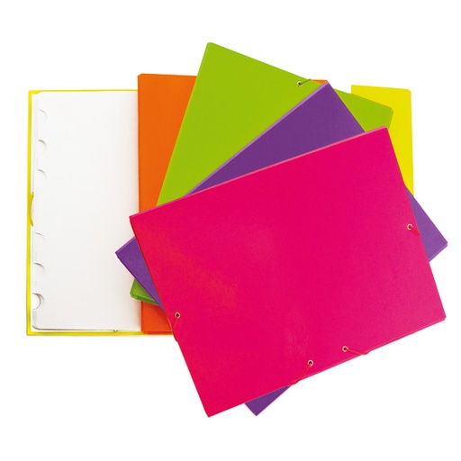 [GRA82212199] CLASIF.SOLAPA FORR. 12SEP.FLUOR SURTIDO