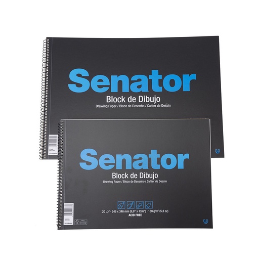 [GRA37012110] BLOC PAUTADO A3 20H S/REC S/TAL SENATOR